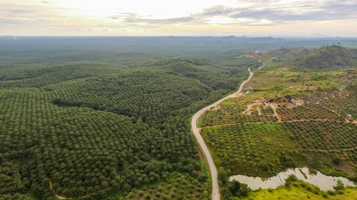 food and nature system, agriculture